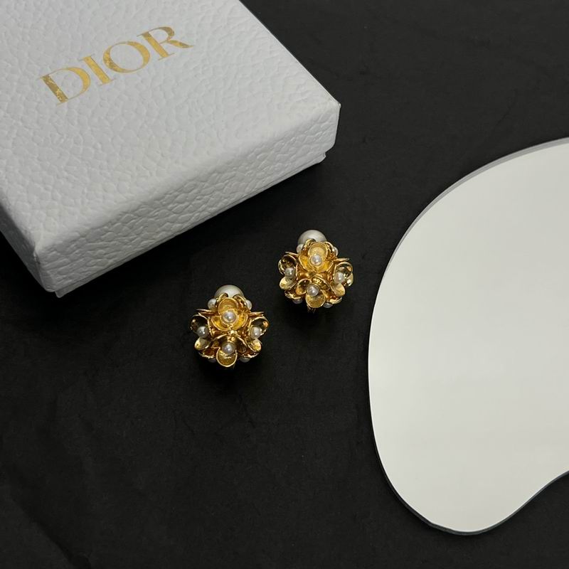 Dior Earring 05lyr575